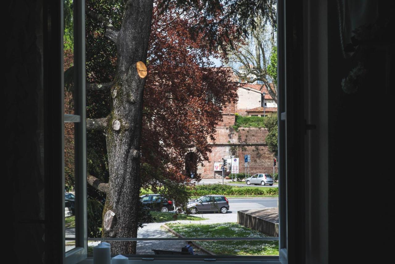Belvedere Luxury Apartment, View On The Lucca Walls Экстерьер фото